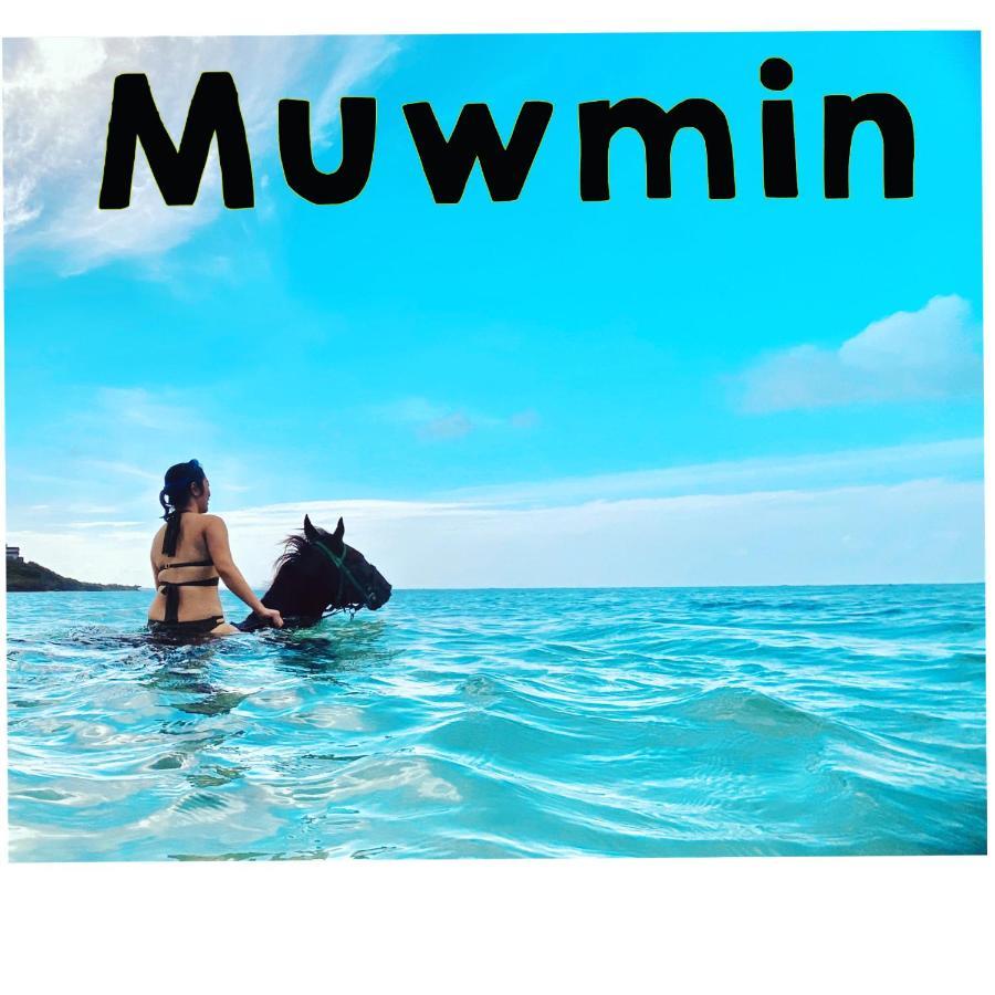 Muumin Farm Villa Накиджин Екстериор снимка