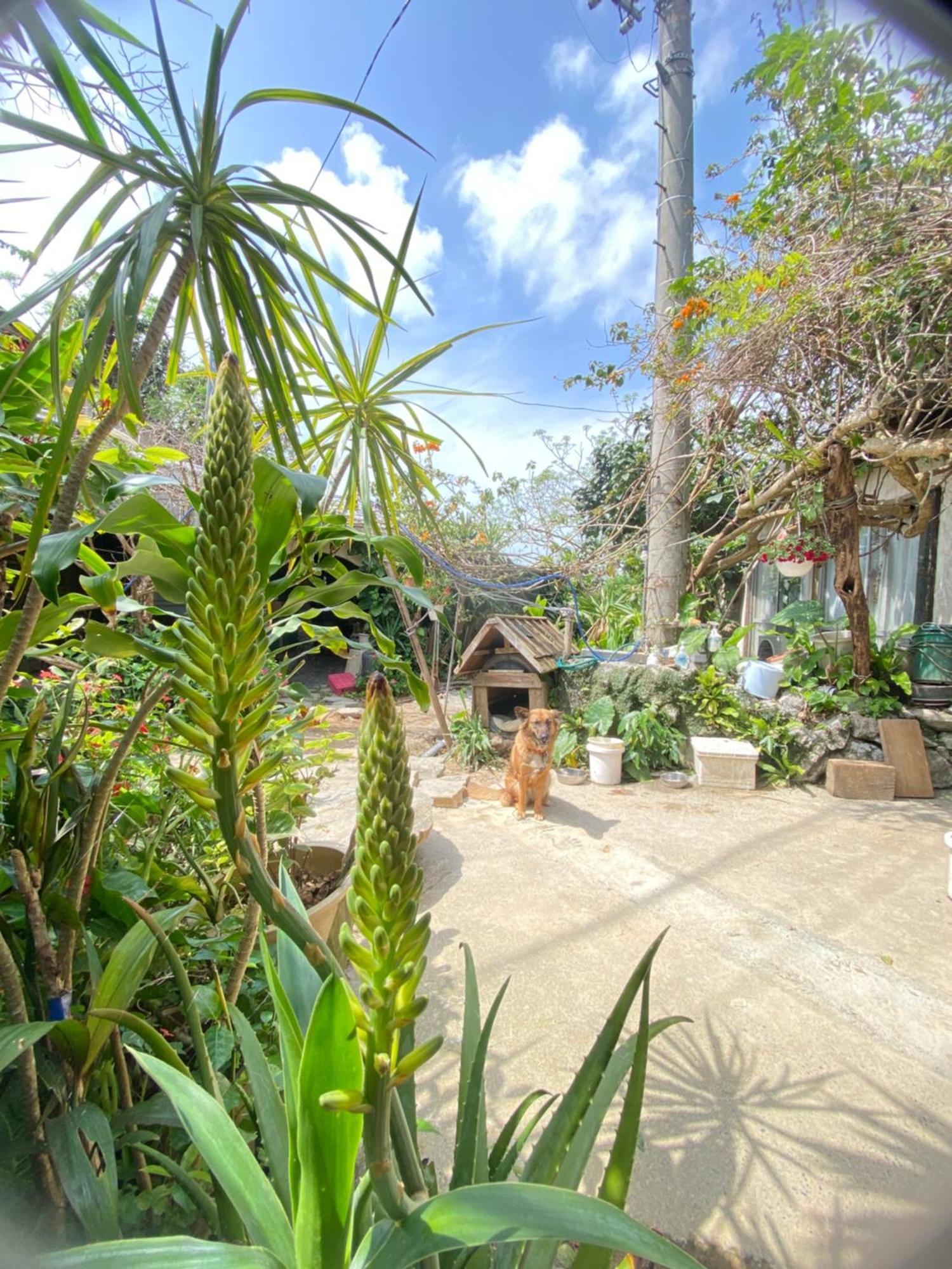 Muumin Farm Villa Накиджин Екстериор снимка