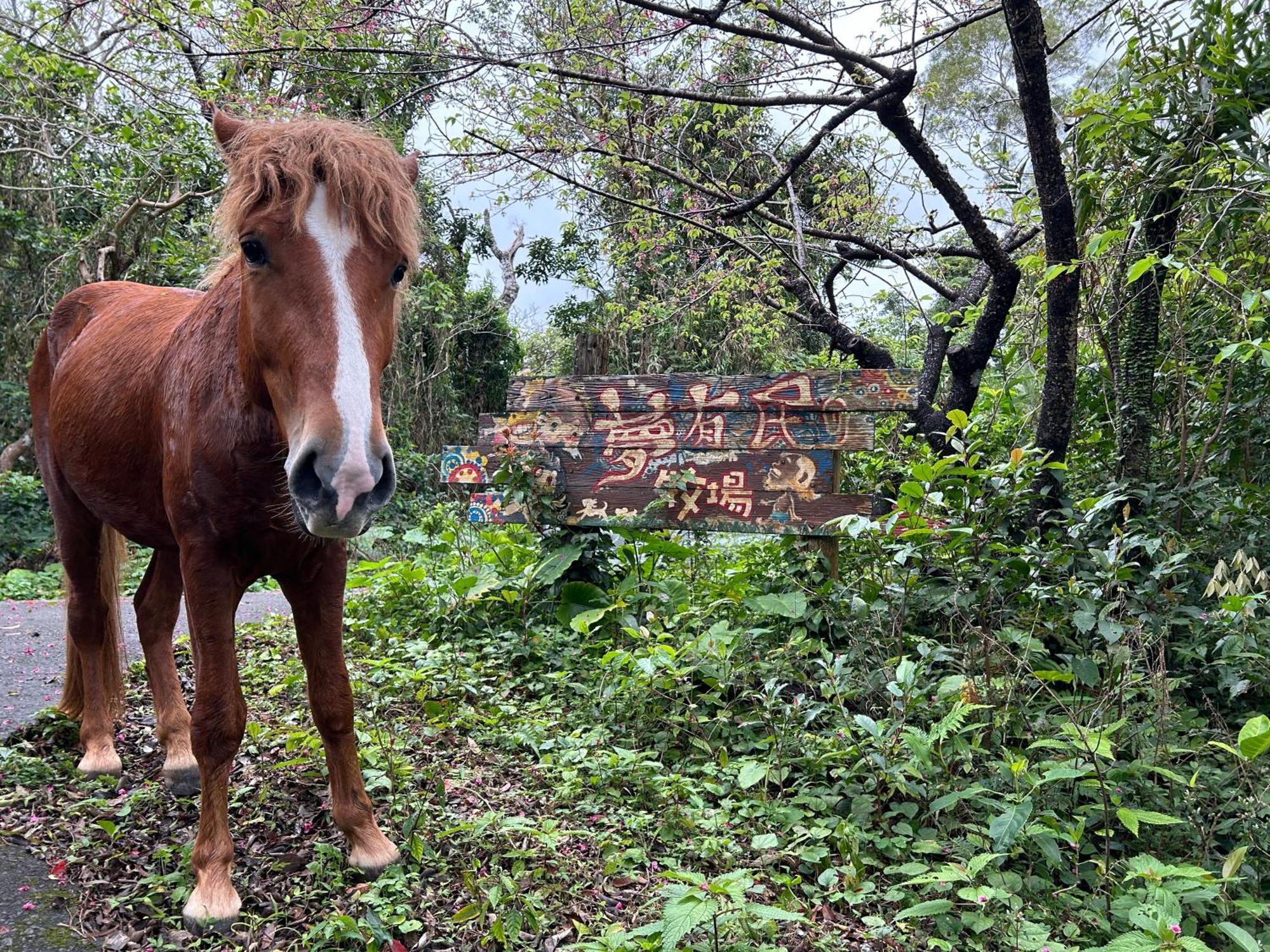 Muumin Farm Villa Накиджин Екстериор снимка
