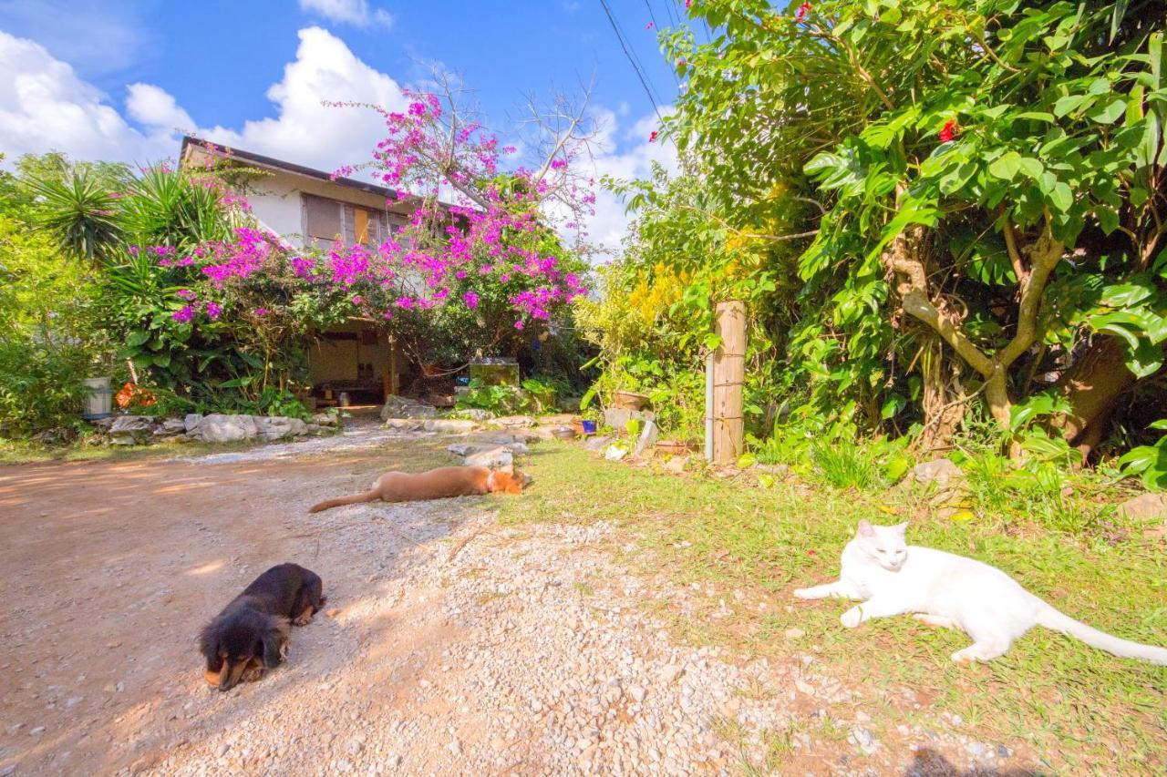 Muumin Farm Villa Накиджин Екстериор снимка